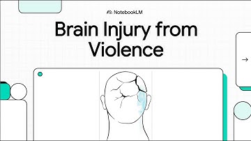 Brain Injury from Intimate Partner Violence