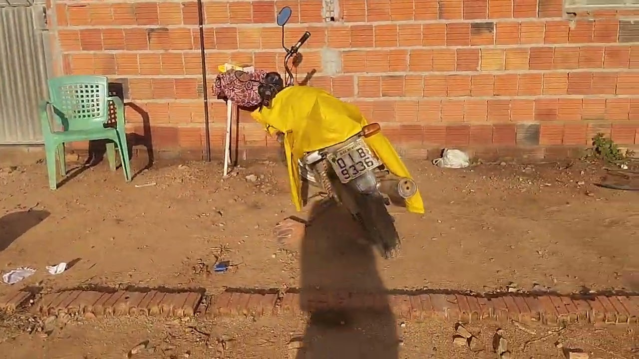 Mostrando um pouco da roça de milho e feijão aurora ceará....