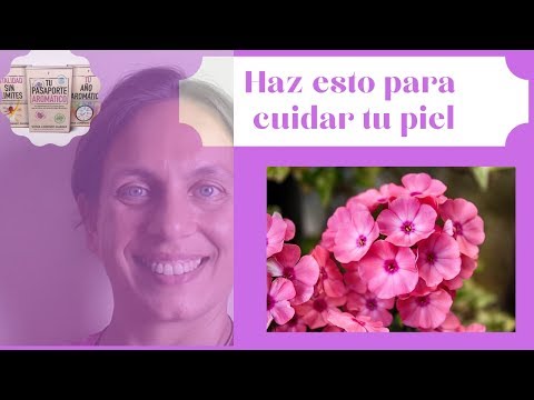 Vídeo: Aceite De Geranio Rosa: Qué Es, Por Qué Se Usa Y Beneficios