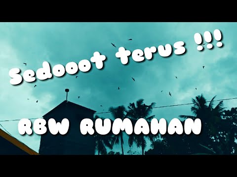 suara-walet-super-jooss