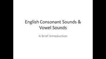 101 English Consonant Sounds & Vowel Sounds : A Brief Introduction by Nandini Singh GPC Dungarpur