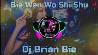 Bie Wen Wo Shi Shu 别问我是谁 Remix By Dj Brian Bie