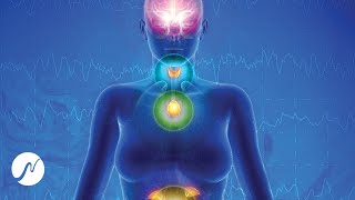 Endocrine System Rejuvenation (Pineal Gland, Thyroid, Adrenal Glands - 537 Hz)