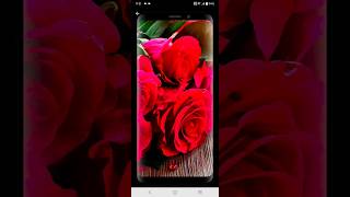 10000 natural wallpapers app screenshot 4
