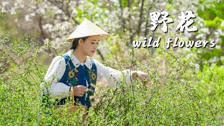 Seasonal Flower Recipes--The Yunnan people’s romantic lifestyle is to eat the blooming wildflowers