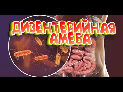 Как пережить ДЕРЬМОВЫЙ АПОКАЛИПСИС, часть первая: ДИЗЕНТЕРИЯ. (кишечные расстройства)