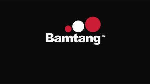 Nickelodeon/GameMill Entertainment/Bamtang Games/Vector Unit/FMOD/Maximum Games (2020)