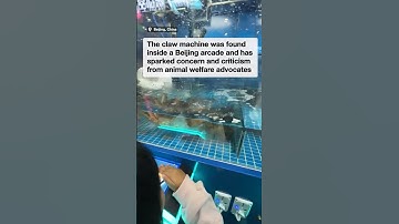 Kids play claw machine filled with live crabs in Chinese arcade