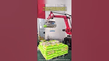Palletizing robot #machine #factory #robotics #robot #palletizing #industrial #automobile #machine