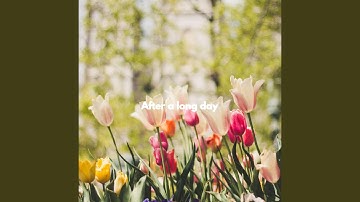 Debonair Moods for Forgetting Summer