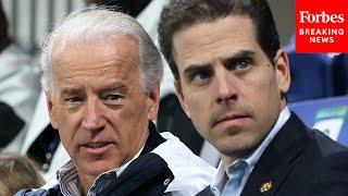 'Whistleblowers Have Come Forward': GOP Lawmaker Takes Aim At Joe And Hunter Biden