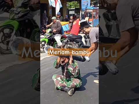 Meriam bambu