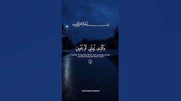 📖💙 تلاوة من عالم آخر بصوت القارئ إسلام صبحي 😭🌿 | من سورة الشعراء | خشوع يلامس القلب ❤️✨ #اسلام_صبحي