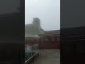 raining #trending #nature #viral #ytshorts #cute #love #allah