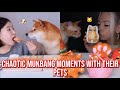 the most CHAOTIC mukbanger moments with their pets