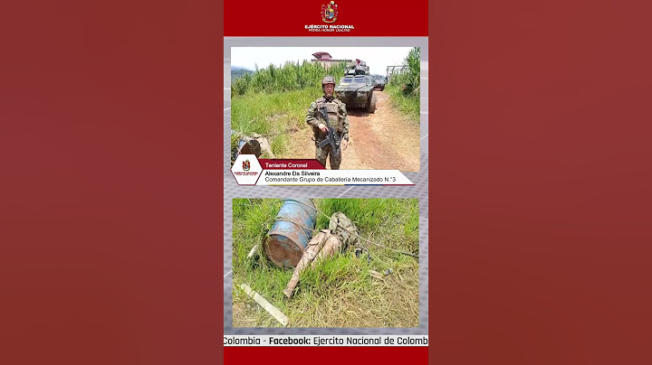 Así avanza la Operación Perseo en el departamento del Cauca.