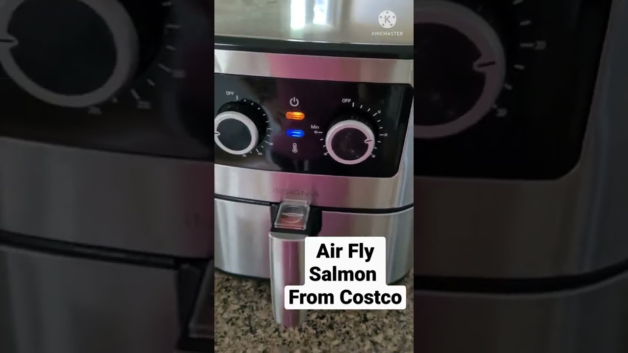 Insignia air fryer costco discount