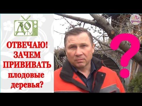 ДЛЯ ЧЕГО нужно ПРИВИВАТЬ плодовые деревья? ОТВЕЧАЮ на вопрос