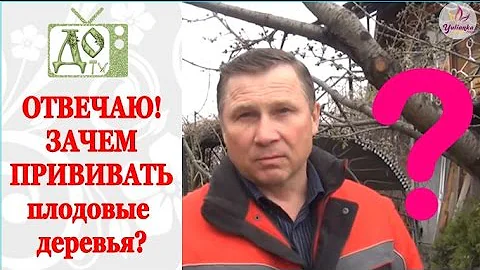 ДЛЯ ЧЕГО нужно ПРИВИВАТЬ плодовые деревья? ОТВЕЧАЮ на вопрос