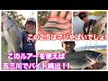 五三川で手堅く釣るにはこれですね～。色んなリグで使える！！そしてさらにヤバいのが出るよ！！「ルアー合衆国」