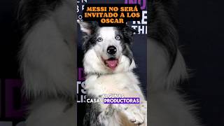 Messi de Anatomía de una Caída no será invitado a los premios Oscar #perros #mascotas #oscars