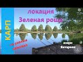Русская рыбалка 4 - озеро Янтарное - Карп на кашу и другие наживки