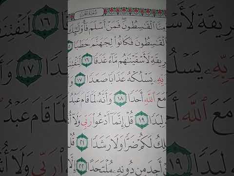 ما معنى وألو ٱستقموا على الطريقة لأسقينهم ماء غدقا سورة الجن