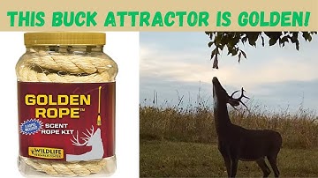 How to make a Hemp rope scrape. Golden Rope kit brings in the bucks!