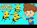 Arı Vız Vız Vız ve Sevimli Dostlar ile 75Dk Çocuk Şarkıları | Kids Songs and Nursery Rhymes