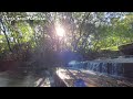 🌳🌴BARULHO DE ÁGUA CORRENTE EM QUEDA NO ENTARDECER, RELAXAR, NATUREZA, SOM DE PÁSSAROS, ÁRVORES🐠🐟