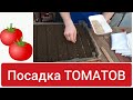 Посадка Помидор (Томатов)