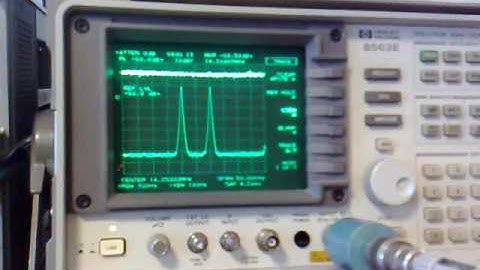 IMD Tones and ADC bus coupling in the Perseus receiver