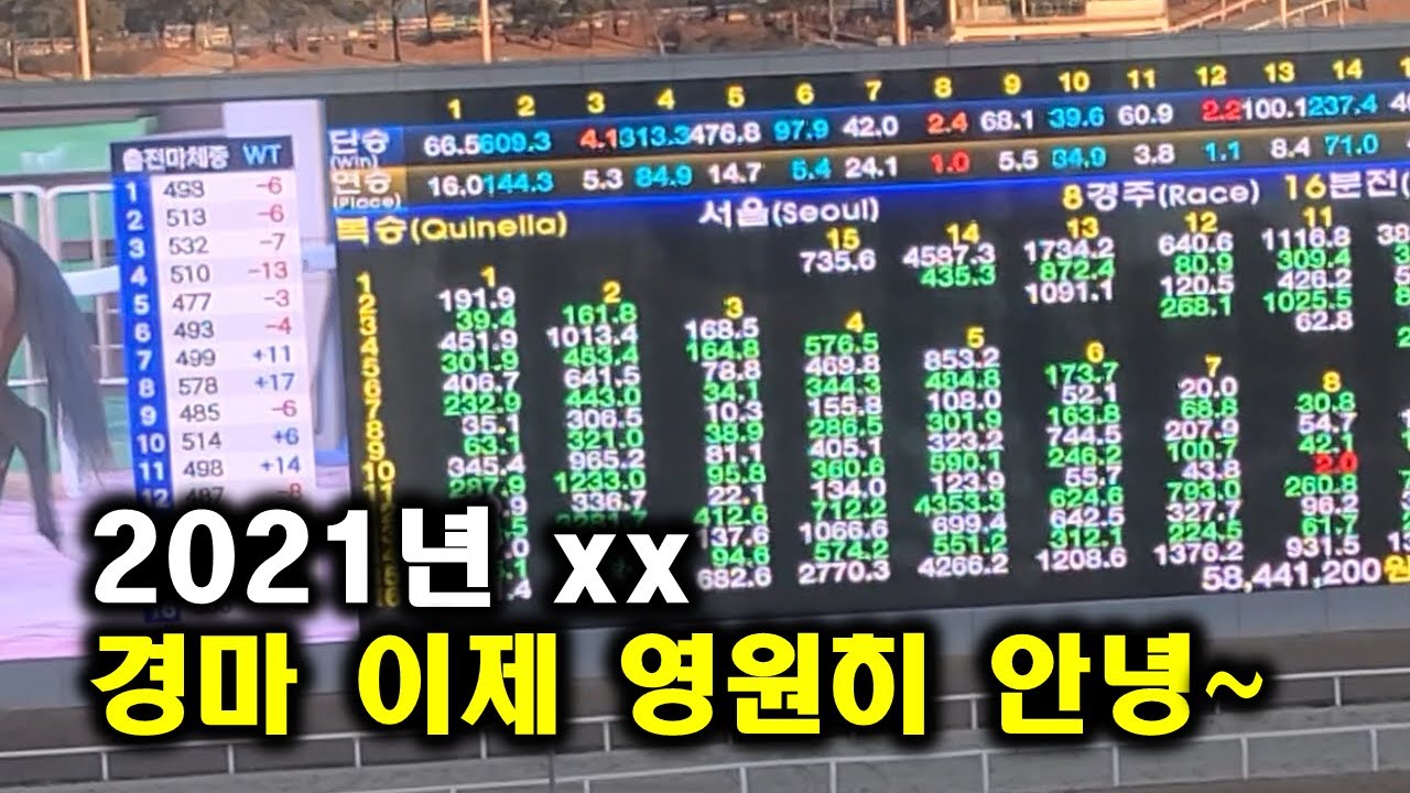 2021년 그랑프리 경마 행복왕자 우승 올킬당한 끔찍한 경마 ㅠ