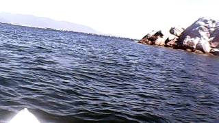 Kayak quillaipe