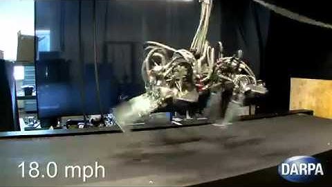 Robot Cheetah Breaks Usain Bolt