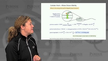nanoHUB-U Biodesign L1.3: Introduction - The Cell as a Machine - Power Consumption