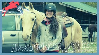 Trail Riding On A World Grand Champion Missouri Fox Trotter Discoverthehorse Episode 