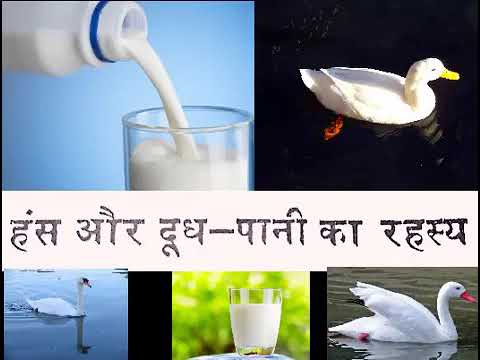 वीडियो: पक्षी का दूध कैसे बेक करें