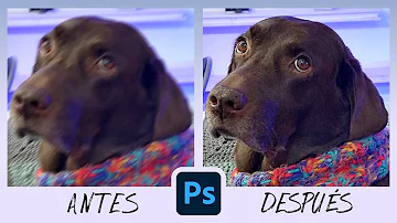 ¿Cómo hacer que una imagen borrosa se vea bien Photoshop?