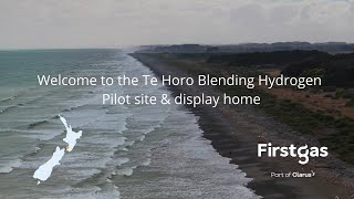 Firstgas Te Horo Hydrogen Blending Pilot site and display home visit