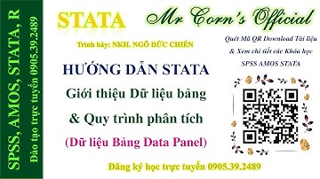 STATA Giới thiệu Dữ liệu bảng & Quy trình phân tích trên STATA (Dữ liệu Bảng Data Panel) 30092023