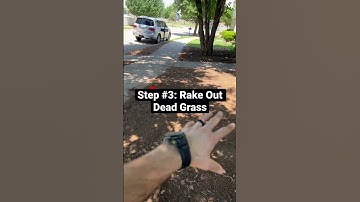 How To Prep Sod Before You Lay It