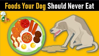STOP~!! Foods Your Dog SHOULD NEVER EAT?🤔