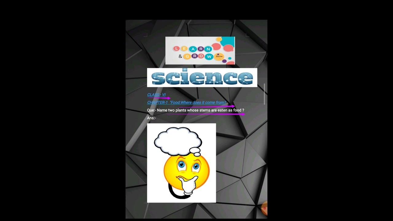 stem-vegetables-name-of-stem-vegetables-class-6-science-youtube