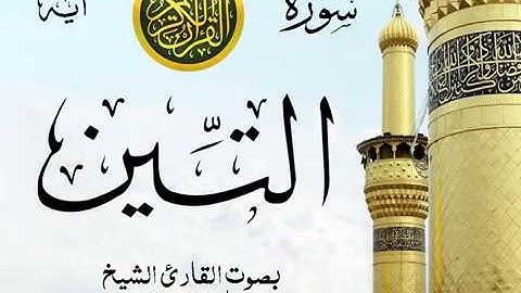 سورة التين  - مع إظهار آيات القراءة - تلاوة القارئ الشيخ ماهر المعيقلي