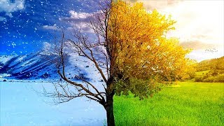 Конец зимы и начало весны. Что делать с комнатными растениями. Конец зимы и начало весны. Что делать с комнатными растениями.
