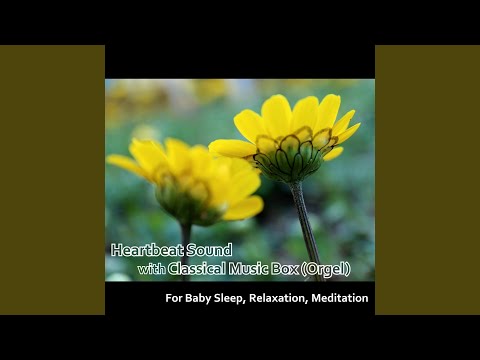 Watch Nocturne in E-Flat Major, Op. 9, No. 2 (Lullaby Version) on YouTube