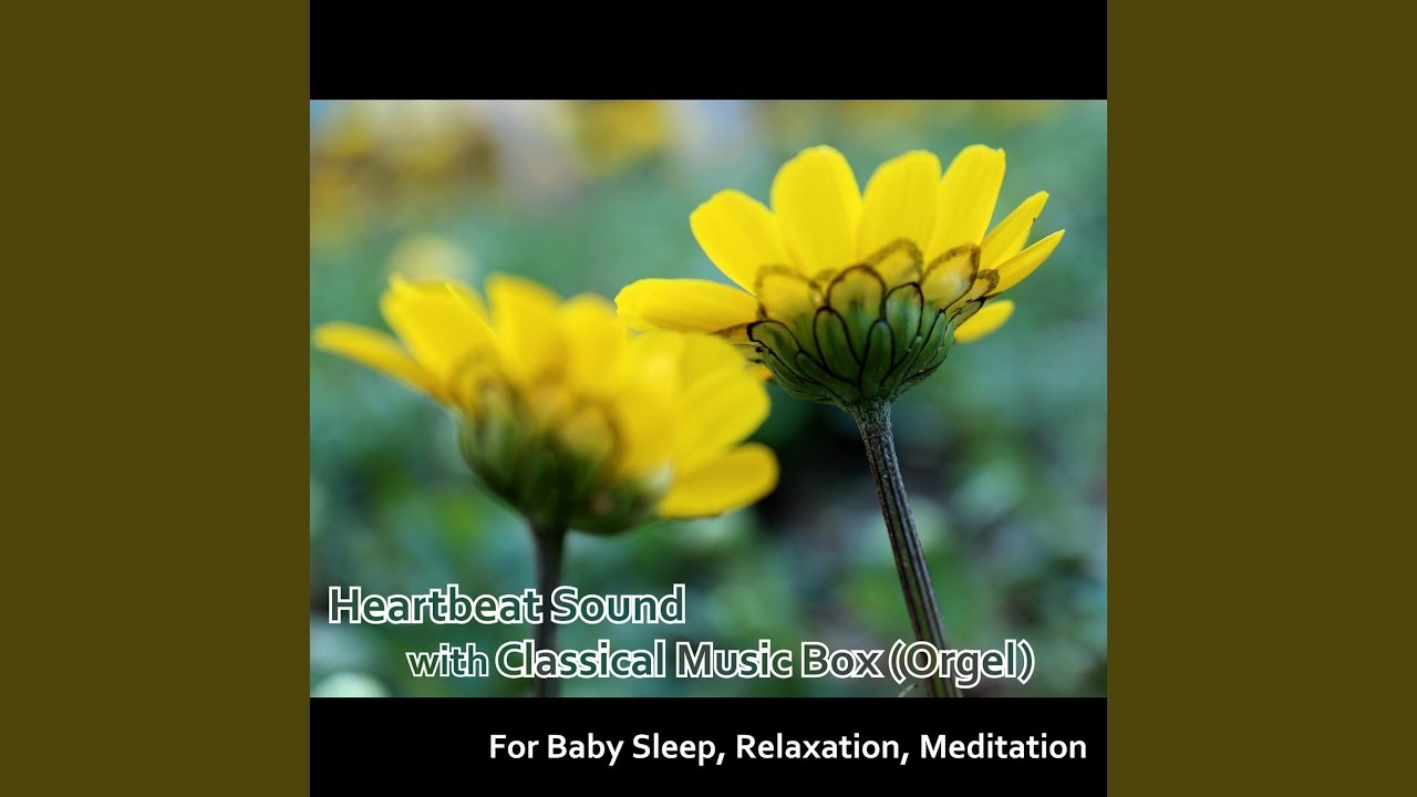 Guarda Nocturne in E-Flat Major, Op. 9, No. 2 (Lullaby Version) su YouTube