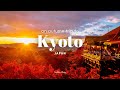 Autumn trip to kyoto japan  autumn leaves  light up cafe hopping  japan vlog