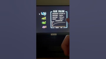 Who Did You Choose In F-Zero?